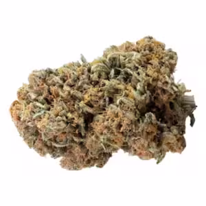 Papaya Zoap (Fast Version)