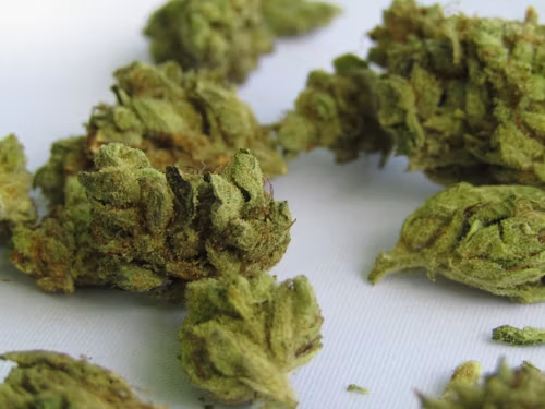 Strongest strain