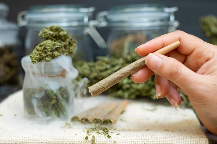Top 10 Rolling Papers to Use