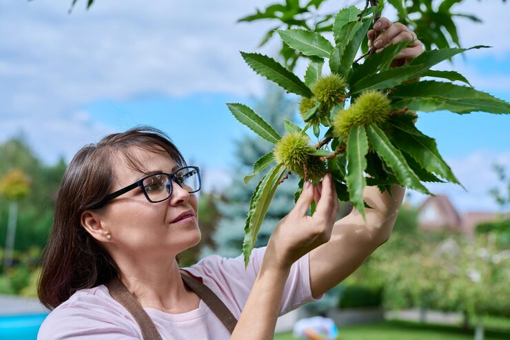 Top 10 THC Vapes to Use