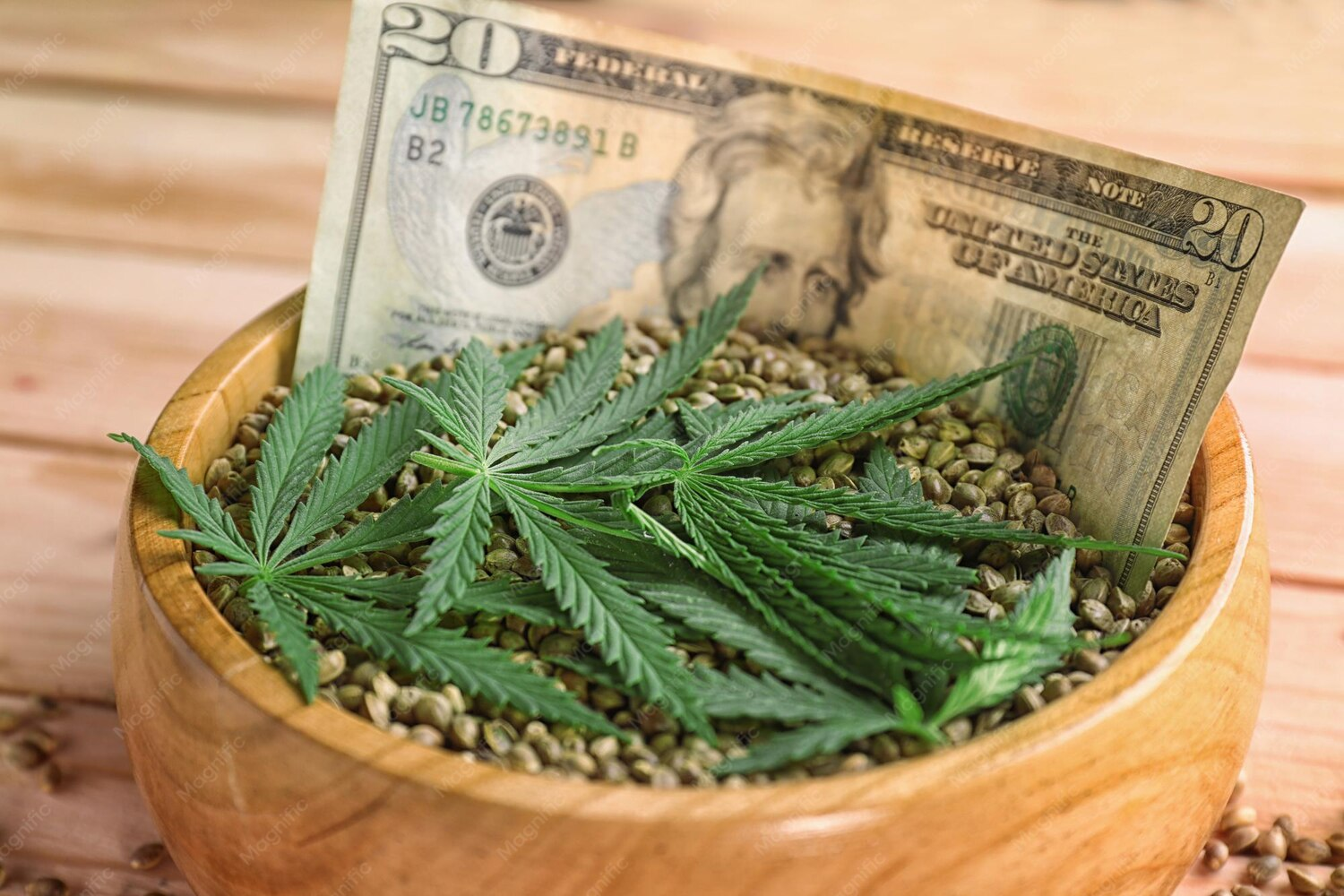 Cannabis Billionaires