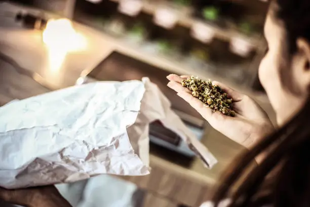 Indica vs. Sativa