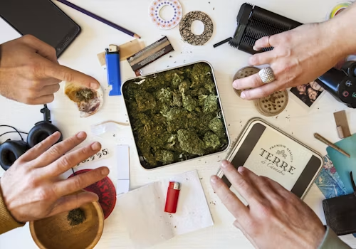 Strongest Cannabis Strain: Facts, THC & Potency Explained