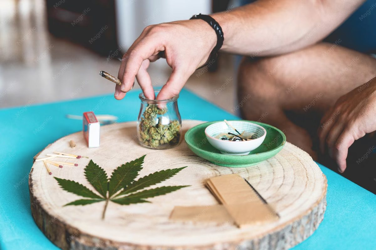 Top Ten Cannabis Festivals