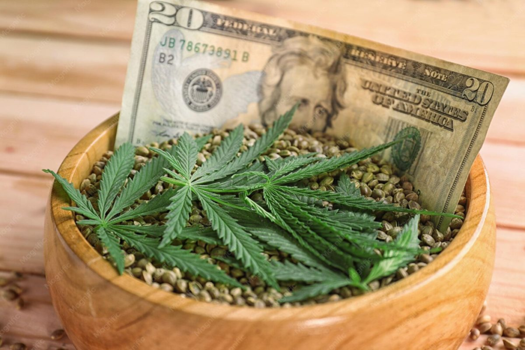 01 cannabis market value
