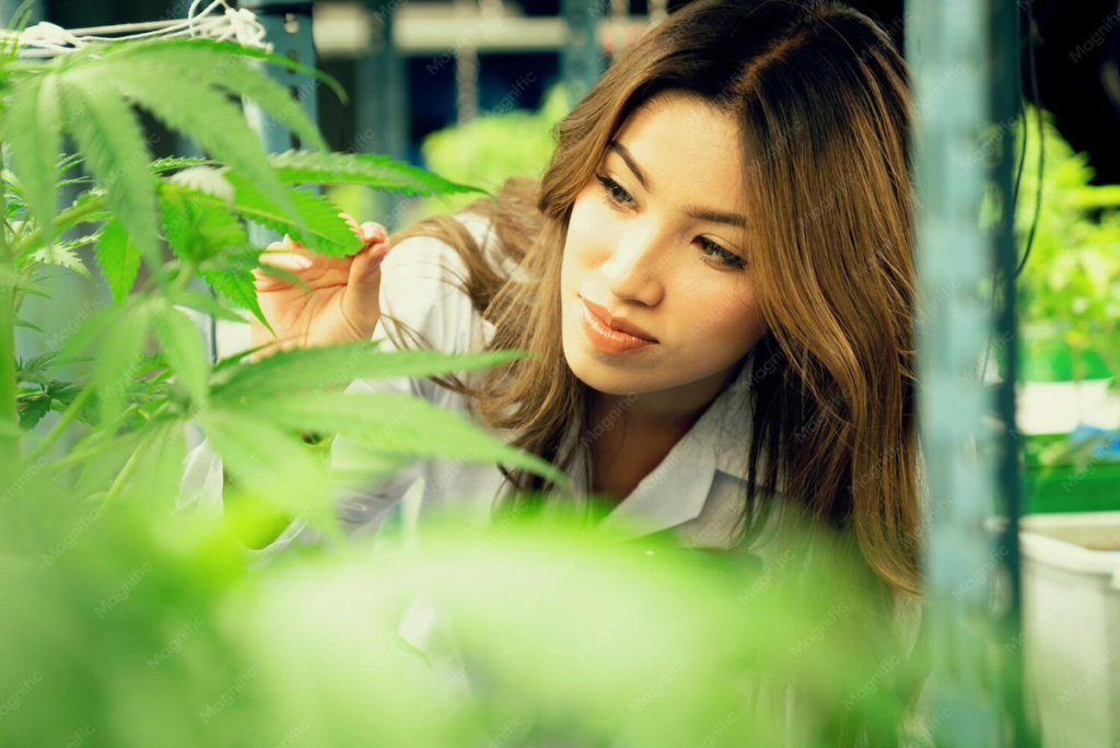 01 celebrity cannabis brand